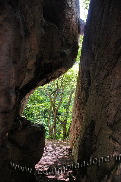 09 04124 Grotta del Paci Paciana.jpg